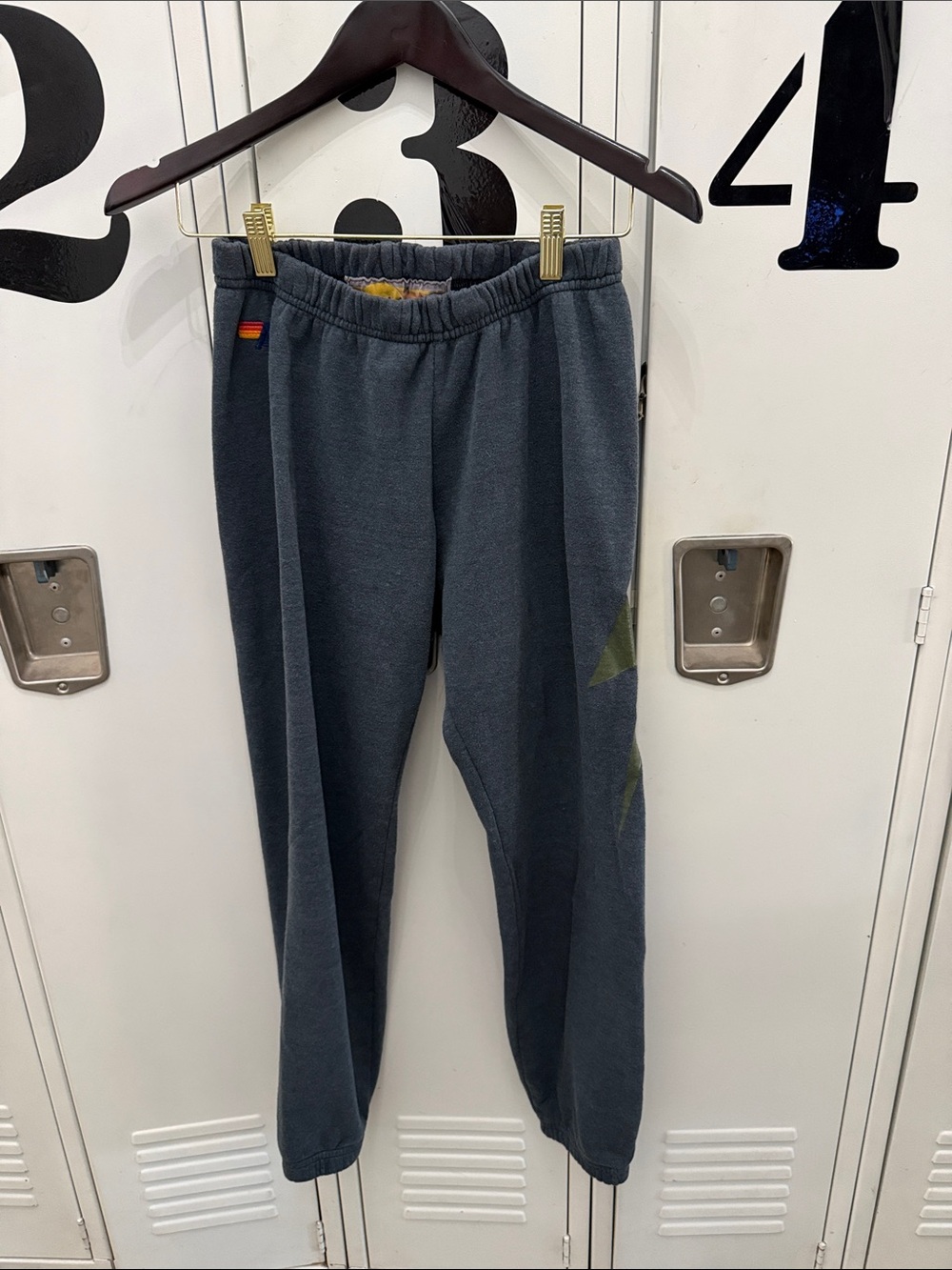 Aviator Nation Sweatpants with Bolt